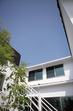 中庭の樹木の変化も楽しみです。