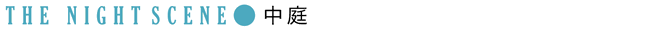 THE NIGHT SCENE：中庭